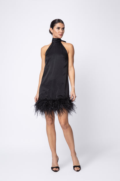 Feather Picasso Dress