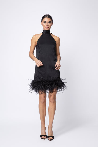 Feather Picasso Dress