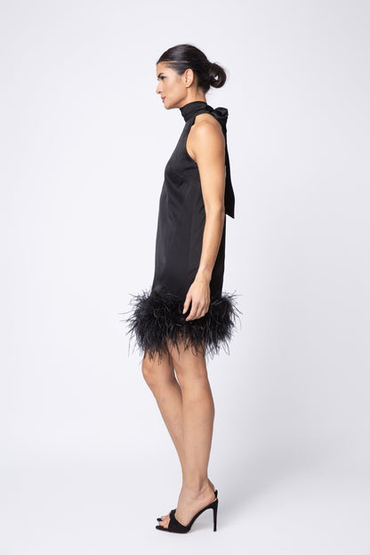 Feather Picasso Dress