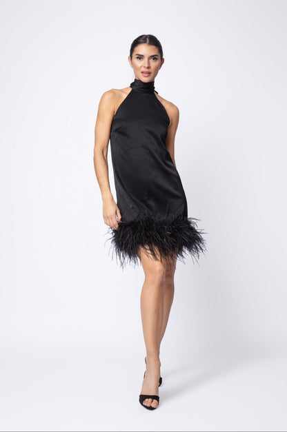 Feather Picasso Dress