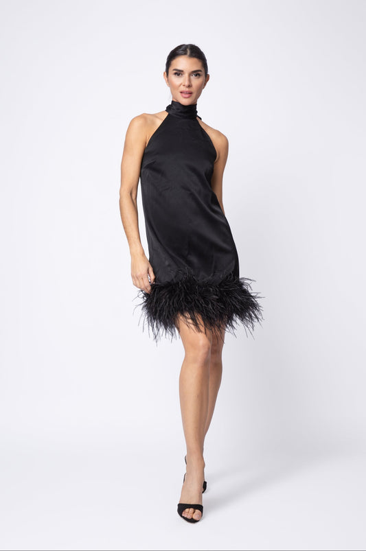 Feather Picasso Dress