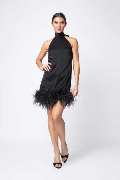 Feather Picasso Dress
