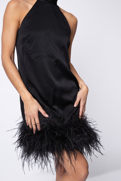 Feather Picasso Dress